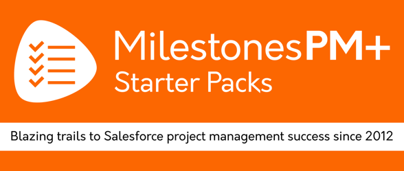 Salesforce project management services