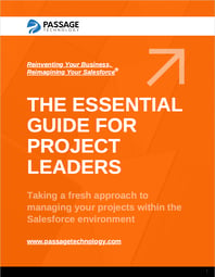 The Essential Guide for Project Leaders e-Book Cover
