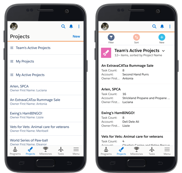 Salesforce project management app Milestones PM+ on Salesforce mobile app navigation menu