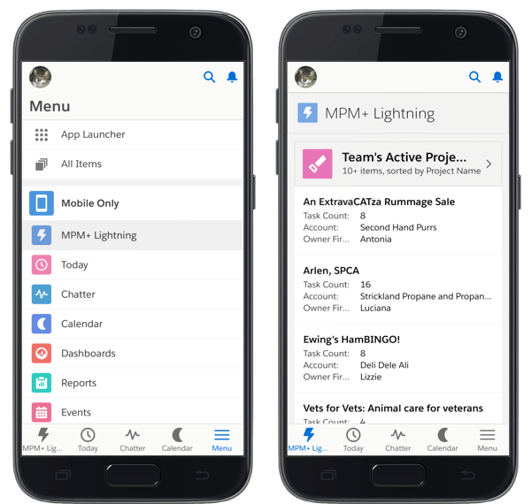 Salesforce project management app Milestones PM+ on Salesforce mobile app navigation menu