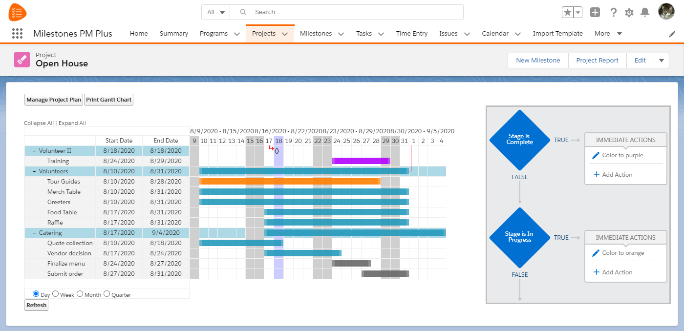 Custom colors on Project Gantt chart with free Salesforce task management app