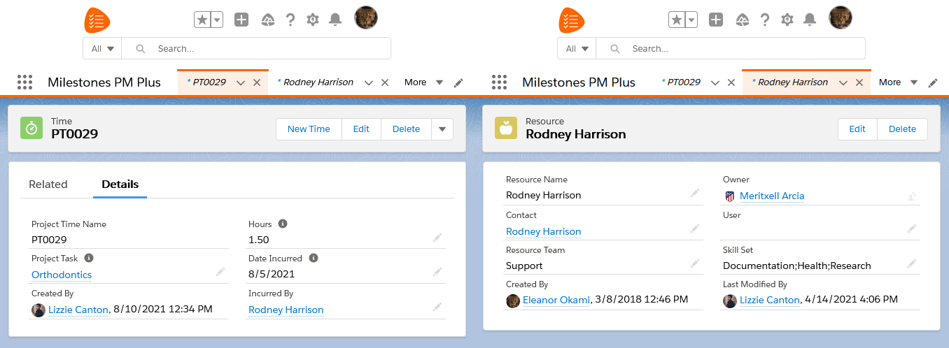 Time entry Salesforce app Milestones PM+, project task management