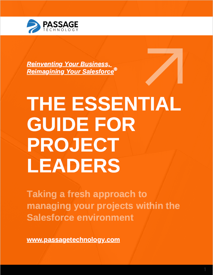 The Essential Guide for Project Leaders e-Book Cover