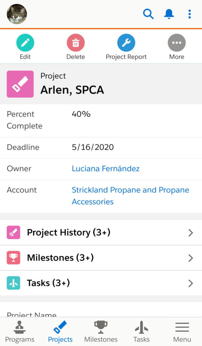 Free Salesforce project management mobile app Milestones PM+